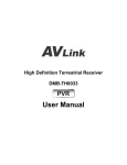 AVLink DMB-TH8033 User manual