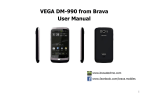 Brava VEGA DM-990 User manual