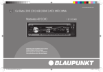 Blaupunkt DVD Installation guide