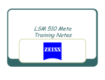 LSM 510 Meta Training Notes