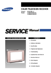 Samsung CS29A6WT8X/BWT Specifications