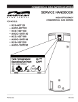 American Water Heater AHCG-100T150 Service manual