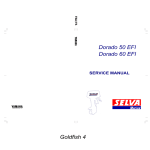 Selva Dorado 60 EFI Service manual