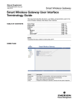 Manual: Smart Wireless Gateway User Interface Terminology Guide