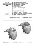 Briggs & Stratton 610000 Technical information