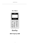 Bierley BM-01 User manual