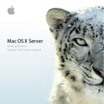 Apple Mac mini (Mac OS X Server System information