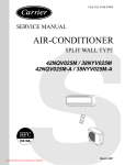 Carrier 38NYV025M-A Service manual
