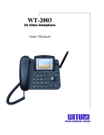 Witura WT-2003 User manual