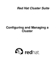 Red Hat CLUSTER SUITE 4.7 DM MULTIPATH Installation guide