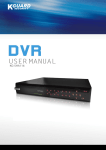 Maxtor Standalone DVR 2007 User manual