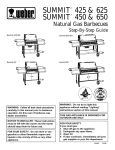 Weber Summit 625 NG Specifications