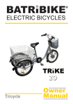 Batribike 20 Specifications