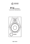 Adam P11A Technical data