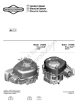 Briggs & Stratton 210000 Operator`s manual