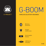 Brix BOOM BOX PROJECT User guide