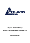 Atlantis Land A02-G4(8)/M2 User`s guide