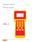 DM-2 Gauge Manual