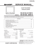 Sharp 19U-M100 Service manual
