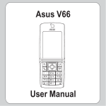 Asus V66 User manual