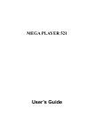 MSI Mega Player 521 256MB User`s guide