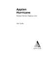 Appian Hurricane User guide