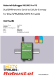 Robustel M1000 Pro V2 User guide