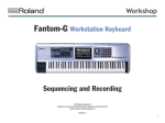 Roland Fantom-G FGWS11 Owner`s manual