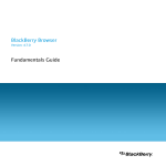 BlackBerry Browser - 4.7.0