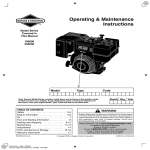 Briggs & Stratton 250000 Owner`s manual