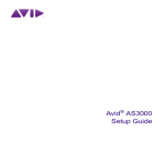 Avid Technology AS3000 Setup guide
