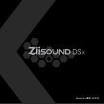 Creative ZiiSound DSx User manual