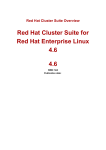 Red Hat Cluster Suite for Red Hat Enterprise Linux 4.6 4.6