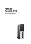 Asus PUNDIT-AE3 Specifications