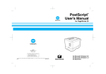 Minolta PAGEWORKS 20 User`s manual