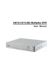 DVR 12-CH User manual