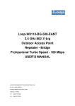 Loop-W8110-BG-500-EANT 2.4 GHz 802.11b/g Outdoor Access