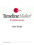 Timeline Maker Professional