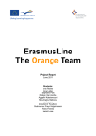 Report of the Orange team