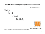 User`s Manual LIFE SIM 2003 Dairy