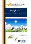 Flying Carpet - Interreg IVB North Sea Region Programme (2007