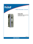 PS69-DPM User Manual