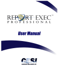 Report Exec Professional User Manual