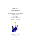 Merlin user`s manual