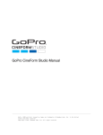 GoPro CineForm Studio Manual - Great Lakes Gliding Club of Toronto