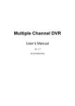Multiple Channel DVR