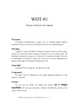WDT-01 - ICP DAS