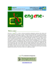 Engene User Manual