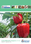 Crop Module: Peppers (protected)