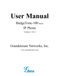 Grandstream BudgetTone 100 User Manual